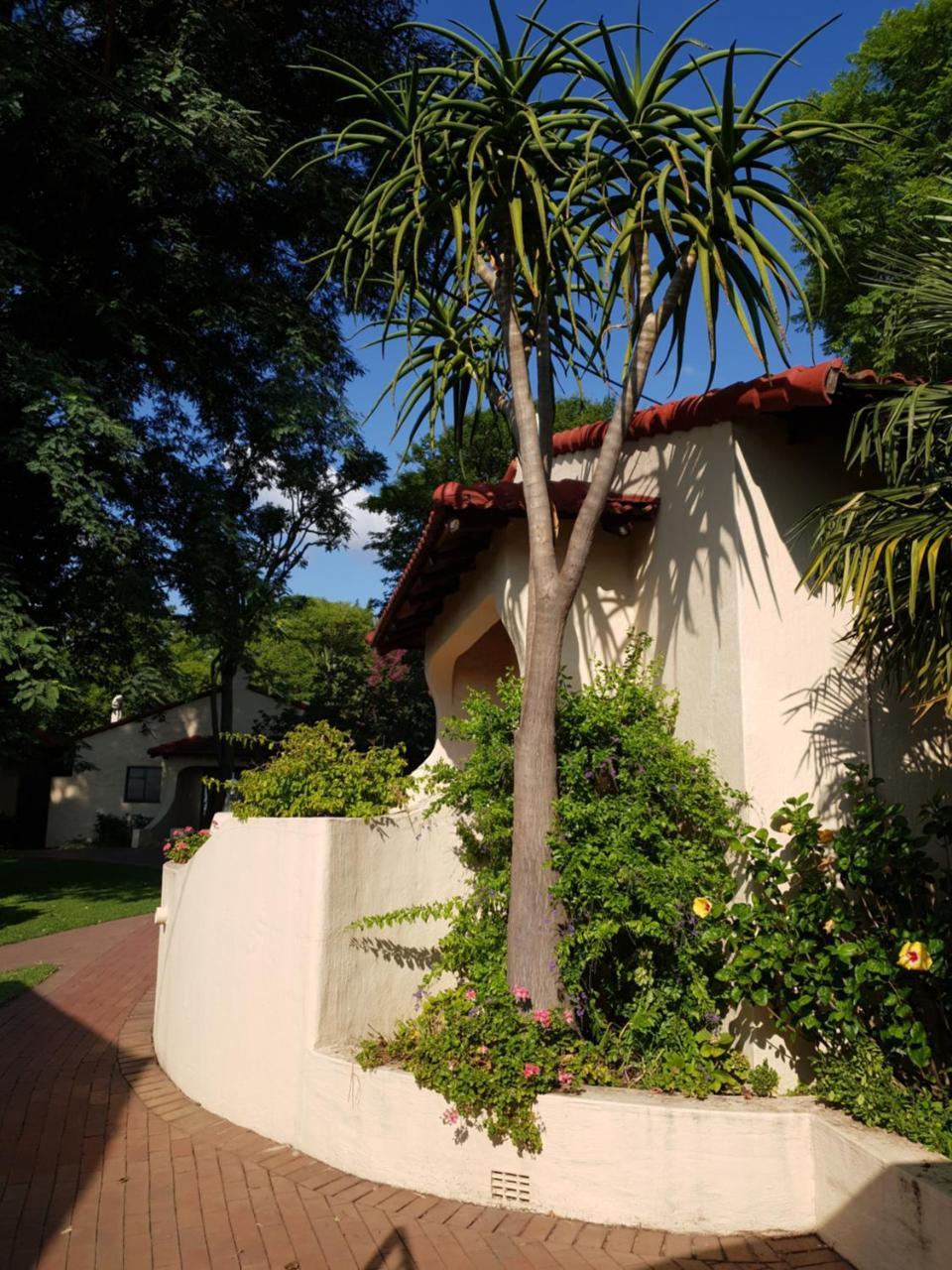 Villa Botanica Guest House Мидранд Экстерьер фото
